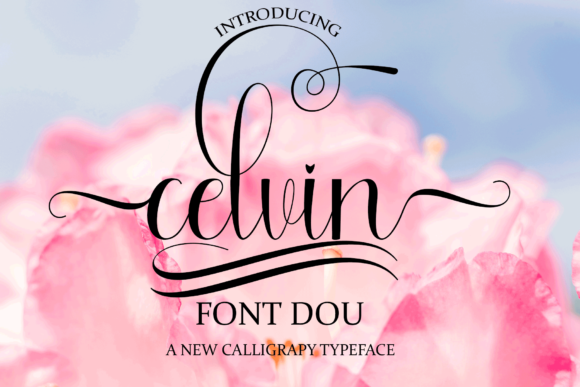 Celvin Typeface Review: Elevating Campaign Aesthetics with Elegant Script Design