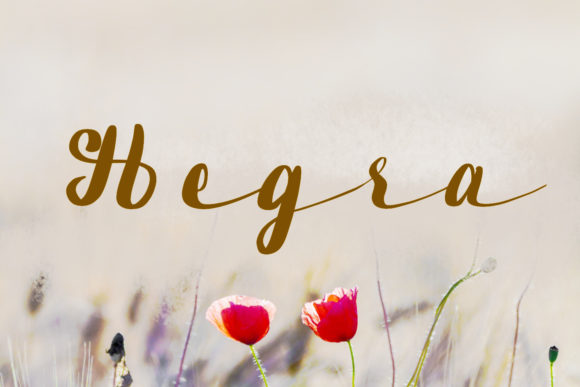 Hegra: A Delicate Script Font for Handmade Labels and Invitations